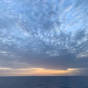 Meet your Posher, Jodi